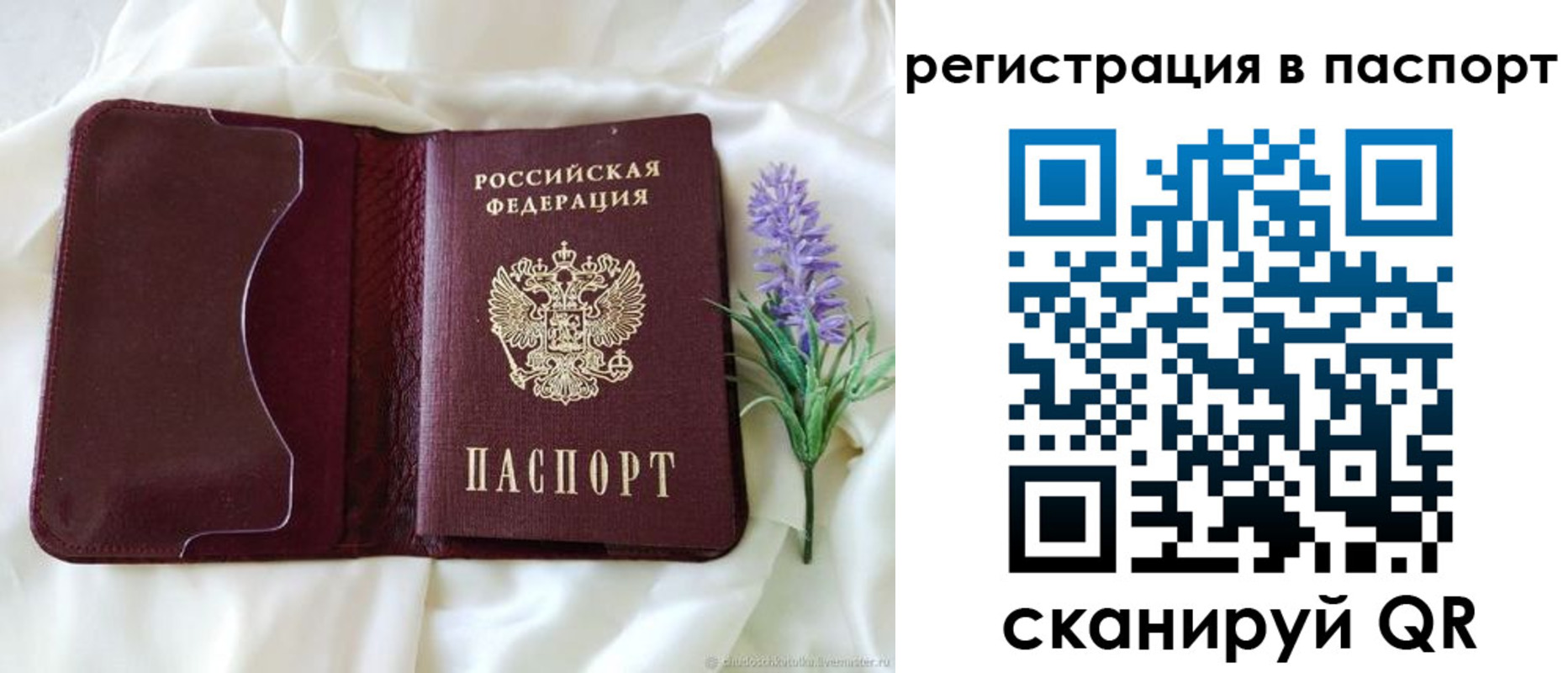 временная регистрация для всех в Отрадном